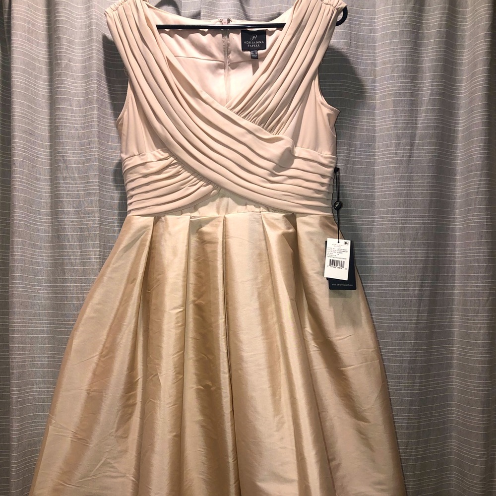 Adrianna Papell taffeta fit and flare dress.size 10. Parchment (light pink)